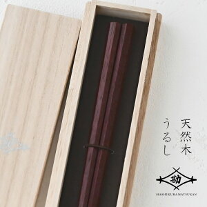 ዷh  p @ p[vn[g 22cm ˔ G-64563 h蔢 Ê  hV̓ ̓ v[g pI Mtg a uh  ސEj S j͂ { ؔ 