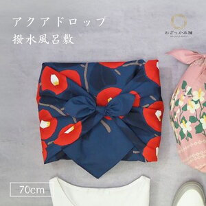 C~ ӂ낵 C~ 70cm ANAhbv ΂ RCAC  h  GRobO h J悯 AEghA |v  Mtg "70cm|v΂RCAC"