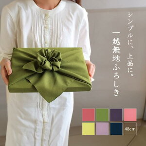 C~ ӂ낵 |GXeC~ nC~ n 48cm ڎO ٓ mxeB LOi  zD [Y }b` R_CTL  Y tW ecR "z|GXe