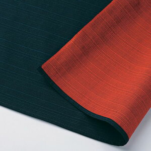 C~ ӂ낵  n ʕC~ O 100cm lD 唻 TL O[ ec IW Mtg LOi LOƋLOi nLO "ȃV^ʎO100cm"