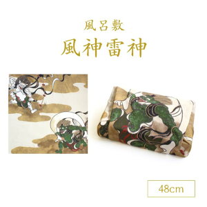 __ ˉ_ N[ 48cm C~ `[tӂ낵 100  Mtg v[g j j  oY Ԃ zA ٓ `}bg COւ̂yY ٓ ubN