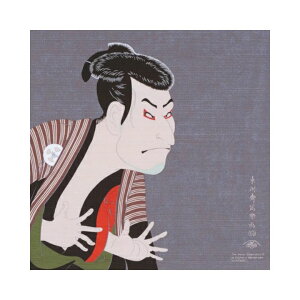 C~ c `[tӂ낵 48cm 100% G Ol VlY ԕxm ʊy bBΔǑ c Mtg j Mtg j GRobO `}bg ̓    ^