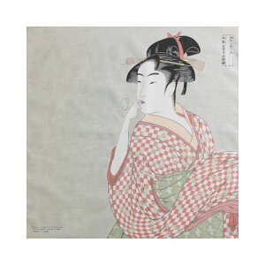 C~ c `[tӂ낵 48cm 100% G Ol VlY ԕxm ʊy bBΔǑ c Mtg j Mtg j GRobO `}bg ̓    ^