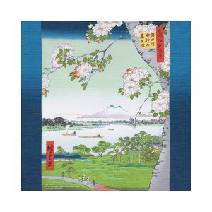 C~ c `[tӂ낵 48cm 100% G Ol VlY ԕxm ʊy bBΔǑ c Mtg j Mtg j GRobO `}bg ̓    ^