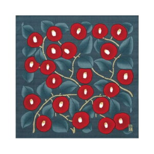 C~ ӂ낵 `[t |v 48cm `[tӂ낵 ΂ AJ AIlY lt ǂ  lR }uL  100 ٓ `}bg   |bv َq̃bsO