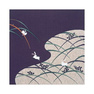 C~ ߂ ߂񕗘C~ ɂȂɂ [ 68cm  yY j j j  o   i " [߂񂱂 68cm C~"