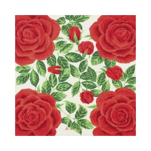 C~ ӂ낵 ȏC~ ȕC~  xmR 50cm { MISATO ASAYAMA R o bh v`Mtg j j zA ٓ bsO `}bg j j j