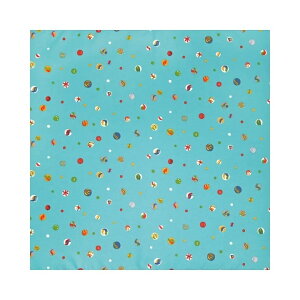 C~ ӂ낵 Pi 70cm  [֑Ή GRNX Ή MtgΉ j j@j  o MtgΉ "GRNX70cm"