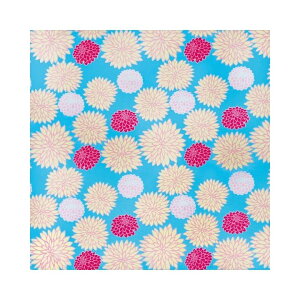 C~ ӂ낵 Pi 70cm  [֑Ή GRNX Ή MtgΉ j j@j  o MtgΉ "GRNX70cm"