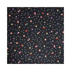 C~ ӂ낵 Pi 70cm  [֑Ή GRNX Ή MtgΉ j j@j  o MtgΉ "GRNX70cm"