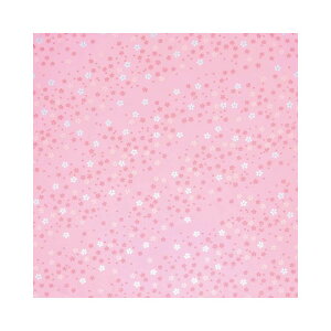 C~ ӂ낵 Pi 70cm  [֑Ή GRNX Ή MtgΉ j j@j  o MtgΉ "GRNX70cm"