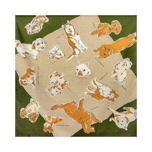 C~ ӂ낵 l 97cm R ȕC~ MISATO ASAYAMA  " R C~l"