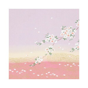 C~ ӂ낵 C~ ߂Fӂ낵  45cm @  j j j  o "߂Fӂ낵"