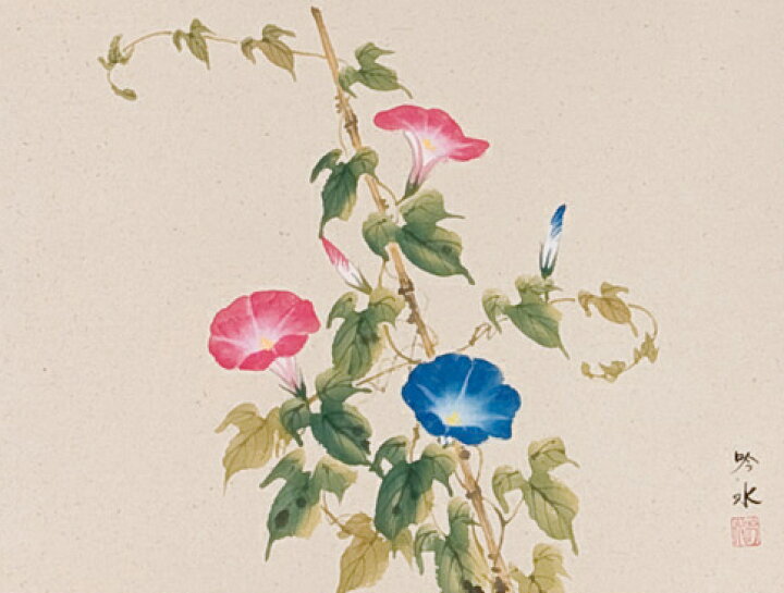 楽天市場】掛け軸 掛軸（かけじく）朝顔（奥田 吟水）花鳥画 夏物掛軸 