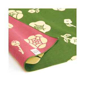 C~ ӂ낵 ʕC~ ̗ʂĂȂ  50cm O 105cm e KN     Mtg j j  oY Ԃ C~obO GR "̗ʂĂȂ C~"