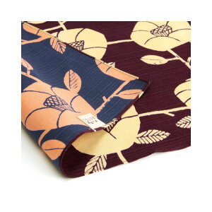 C~ ӂ낵 ʕC~ ̗ʂĂȂ  50cm O 105cm e KN     Mtg j j  oY Ԃ C~obO GR "̗ʂĂȂ C~"