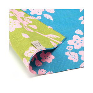 C~ ӂ낵 ʕC~ ̗ʂĂȂ  50cm O 105cm e KN     Mtg j j  oY Ԃ C~obO GR "̗ʂĂȂ C~"