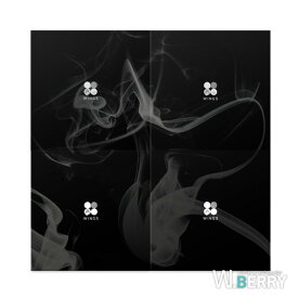 BTS 防弾少年団 WINGS / 2ND ALBUM 2集 WINGS 4種中選択