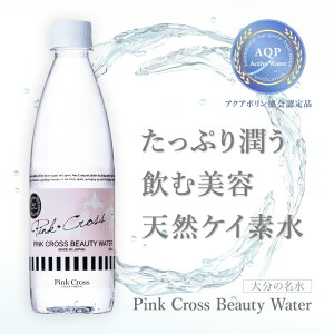 sNNX r[eB[EH[^[ y w  z啪 dAR PCf VJ 500ml × 24{   