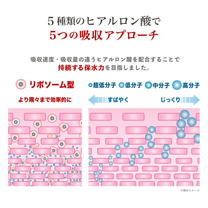 楽天市場】ピンククロス 飲むヒアルロン酸 プレミアム11 高純度 
