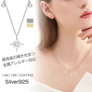 ATiCg lbNX fB[X  18 14 dグ AM[Ή Vv ANZT[ JWA ip  ޏ   a NX}X v[g 