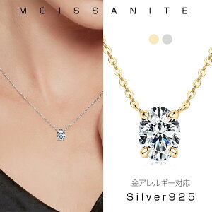 lbNX fB[X AM[Ή  2ct Silver925 ATiCg Vv _Ch P JWA ig  ޏ  LO a NX}X o^