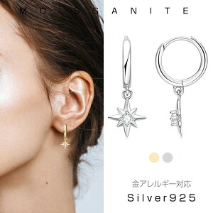 sAX fB[X k18 ςȂ OsAX Vo[ ATiCg iSilver925 AM[Ή a ؚ ANZT[ _Ch P JWA  Mtg N