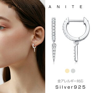 sAX fB[X k18 ςȂ OsAX Vo[ ATiCg iSilver925 AM[Ή a ؚ ANZT[ _Ch P JWA  Mtg N