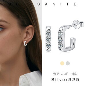 sAX fB[X k18 OsAX ςȂ Vo[ ATiCg iSilver925 AM[Ή a ؚ ANZT[ _Ch P   Mtg N