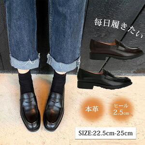 [t@[ fB[X {v pvX fB[X ₷ ؂  C pvX q[ 2.5cm V[Y fB[X  uE  22.5cm~25.0cm {v XNGA v d tH[}