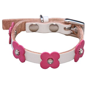   ̎ ^ ^ L̎ {v ~j HTM  L p Lp [hZbg  _炩 v 1cm  킢 hbO ybg ObY ɂȂ y y   t