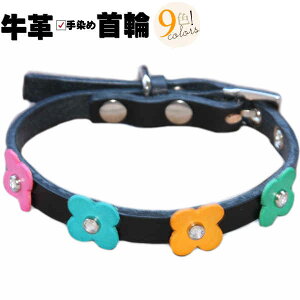   ̎ ^ ^ L̎ {v ~j HTM  L p Lp [hZbg  _炩 v 1cm  킢 hbO ybg ObY ɂȂ y y   t