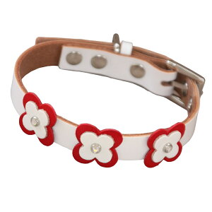   ̎ ^ ^ ^ L̎ {v Rr HTM  L p Lp L [hZbg  _炩 v 1cm/1.5cm  킢 ɂȂ y y  t[ 