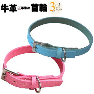   ̎ ^ L̎ {v tNg ċA  L p Lp _炩 v 1.5cm  킢 ɂȂ y y       U ̖h