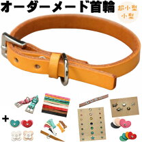 楽天市場】首輪 犬 10cmの通販