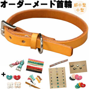   v   l[  {v I[_[Ch ^ ^ (ω׏d5kg) v1cm  O l[ p Lp _炩 y y qh~  킢 