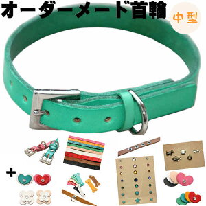   v   l[  {v I[_[Ch ^ ^ (ω׏d10kg) v1.5cm  O l[ p _炩 y y qh~  킢 ybg 