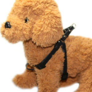 犬 首輪 革 ワンタッチの通販 価格比較 価格 Com