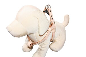   n[lX v {v ^b`n[lX ^ ^ ^ pn[lX v1cm/1.5cm p  킢 Ȃ ȒP  ^b` WCg ^ ^  U[ 