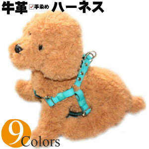   n[lX v {v ^b`n[lX ^ ^ ^ pn[lX v1cm/1.5cm p  킢 Ȃ ȒP  ^b` WCg ^ ^  U[ 