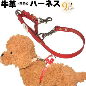   n[lX v {v Easy `[t pn[lX ^ ^ v1cm ւƂ̕pŎgpȈՃn[lXƂȂAPiŃn[lXƂĎgpł܂ p  _炩 y