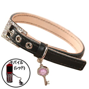   ̎ ^ ^ L̎  O {v `[ t NX^ obN HTM 2v d  L p Lp _炩 v 1.5cm  킢 O 