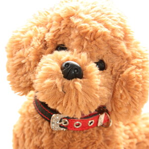   [h Zbg v {v EGX^ \[CO ^ HTM  [hZbg ^ ^ v1.5cm p  y y ̃[h  킢 Č ViEU[ pO tu