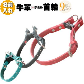 犬 首輪 革 犬の首輪 超小型犬 小型犬 中型犬 猫の首輪 名入れ 名前入れ 本革 ダブルリング 犬首輪 猫首輪 犬用 猫用 リードセット あり 柔らかい 革 幅1cm/1.5cm おしゃれ かわいい ダブルロック 名前入り 名前 電話番号 迷子防止 痛くない 軽い チワワ 柴犬 グッズ 日本製