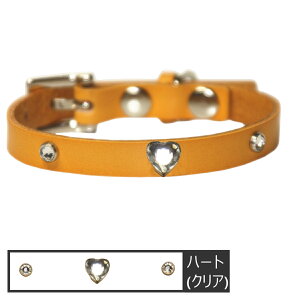   ̎ ^ ^ L̎ {v WG[  L p Lp L [hZbg  _炩 v 1cm  킢 _炩 ɂȂ y gCv[h `