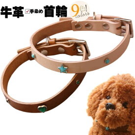 犬 首輪 犬の首輪 中型犬 猫の首輪 本革 ジュエリー 犬首輪 猫首輪 犬用 猫用 リードセット あり 柔らかい 革 幅1.5cm おしゃれ かわいい 柔らかい 痛くない 軽い 柴犬 ミニチュアシュナウザー パグ フレンチブルドッグ コーギー ビーグル キラキラ 光る 中型 日本製 ギフト