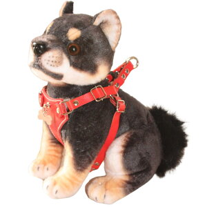  v  [hZbg O {v  & qD t ^b` n[lX [h Zbg ^ ^ v1cm/1.5cm  l[ l[v[g pn[lX [ht d