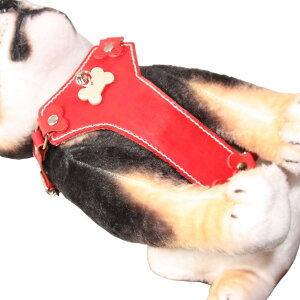  v  [hZbg O {v  & qD t ^b` n[lX [h Zbg ^ ^ v1cm/1.5cm  l[ l[v[g pn[lX [ht d