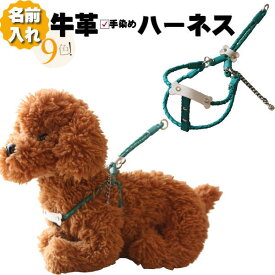 犬 ハーネス 胴輪 革 本革 編み込み 丸め革 モチーフ 付 犬用ハーネス 超小型犬 名入れ 名前入り ネーム入り ネーム 犬用 ドッグ 迷子札 軽量 軽い おしゃれ かわいい ネームプレート ボーン 骨 チャーム 柔らかい ソフト 抜けない 負担少ない 超小型 日本製 プレゼント