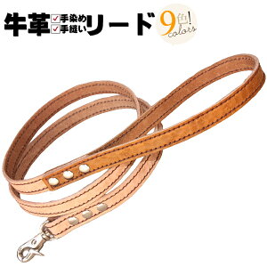  [h v {v \[CO ^ oCJ[(2F) [h ^ ^ v1.5cm p  y y qh~ Ȃ  [h ̃[h pi p ybg  킢 